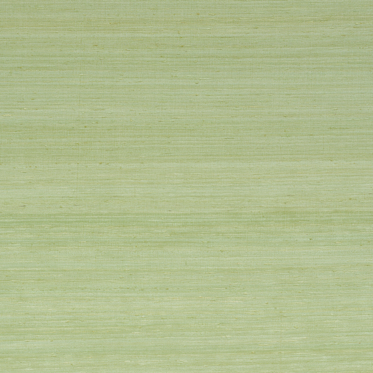 SCHUMACHER  DOWN TO EARTH TEXTURED WALLCOVERING SILK STRIE   LEAF   - 5010274