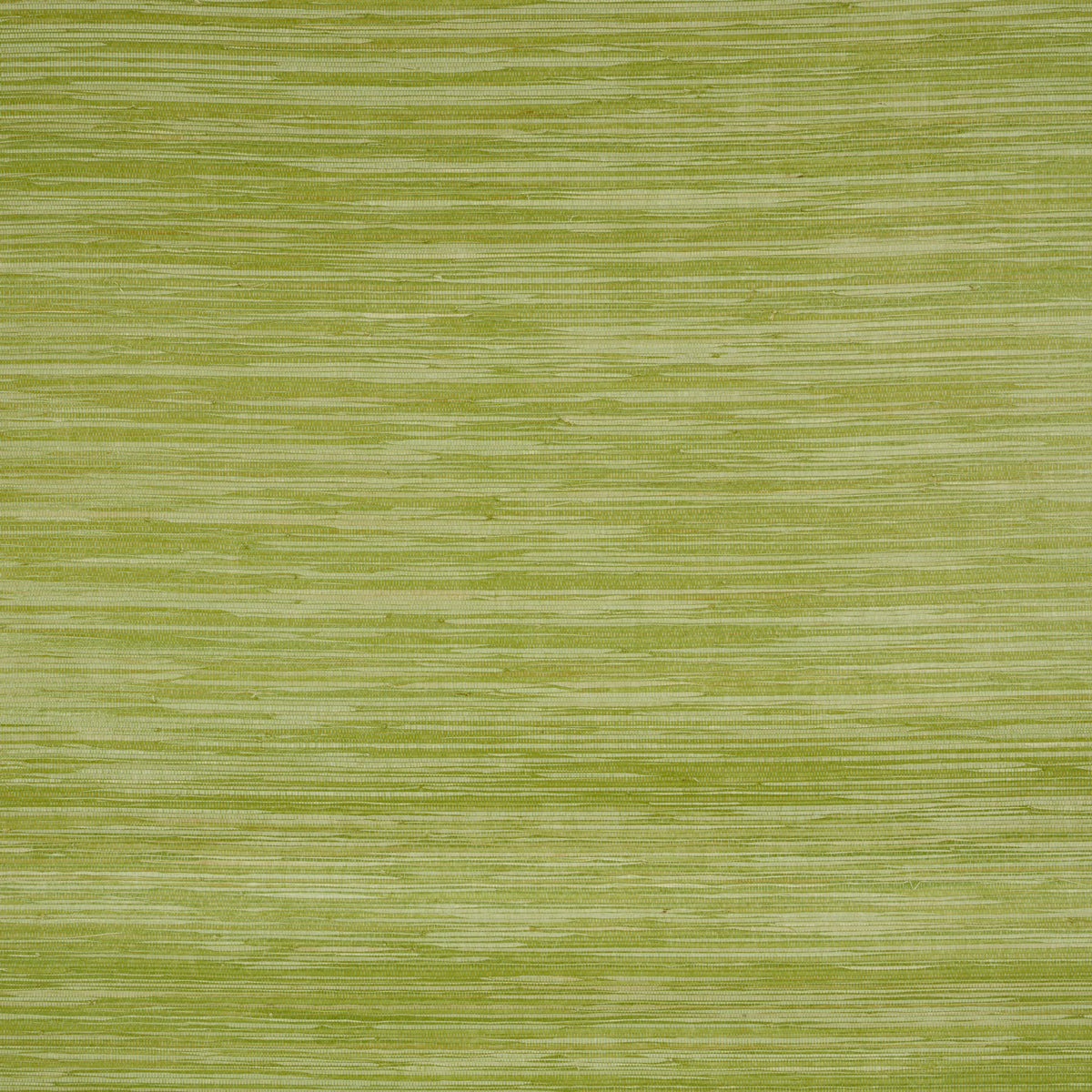 SCHUMACHER  DOWN TO EARTH TEXTURED WALLCOVERING DYED RAFFIA   LEAF   - 5010343