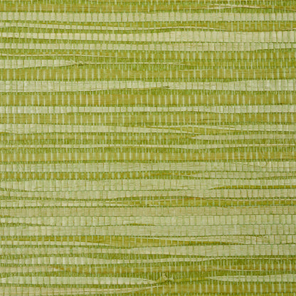 SCHUMACHER  DOWN TO EARTH TEXTURED WALLCOVERING DYED RAFFIA   LEAF   - 5010343