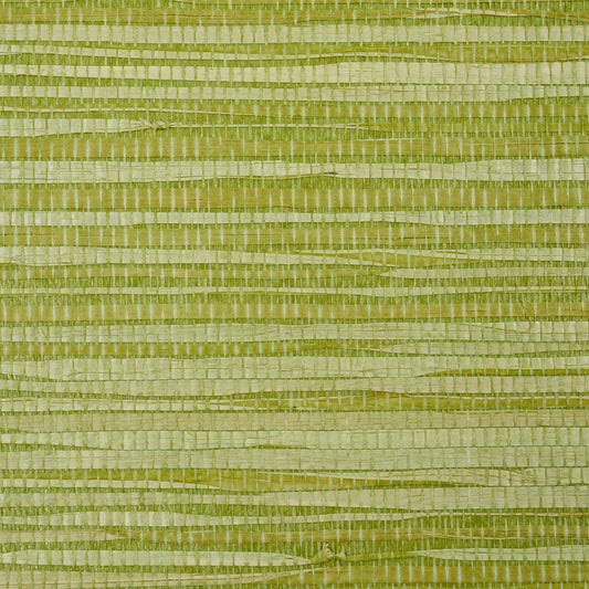 SCHUMACHER  DOWN TO EARTH TEXTURED WALLCOVERING DYED RAFFIA   LEAF   - 5010343