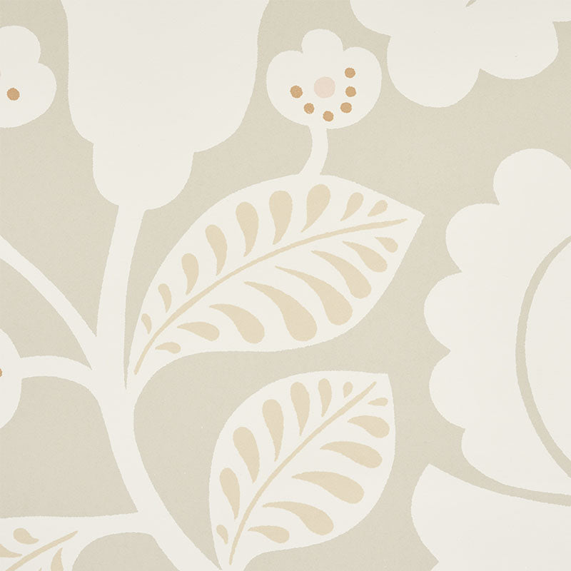 SCHUMACHER  WALLFLOWERS JACKIE   NEUTRAL   - 5010372