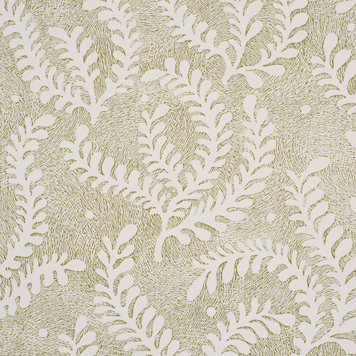 SCHUMACHER  PERENNIAL FAVORITES ETCHED FERN   Green   - 5010383