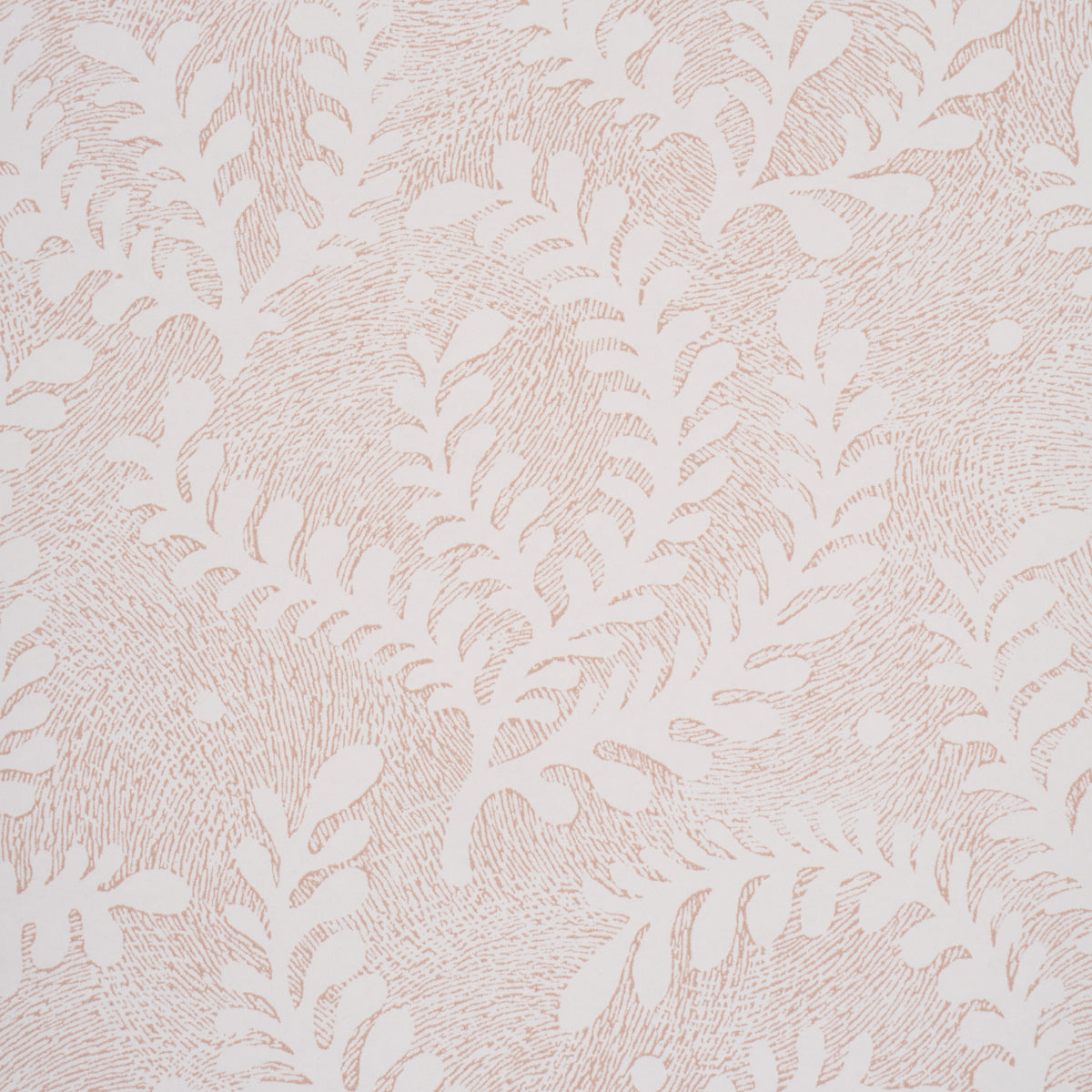 SCHUMACHER  PERENNIAL FAVORITES ETCHED FERN   Blush   - 5010384