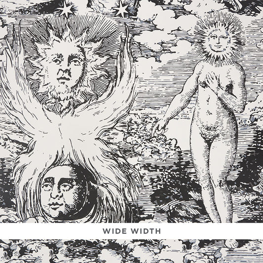 SCHUMACHER  JOHNSON HARTIG MODERN TOILE   BLACK   - 5010420