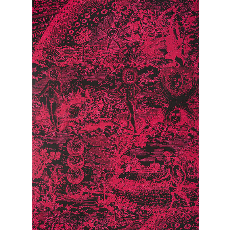 SCHUMACHER  JOHNSON HARTIG MODERN TOILE   PINK , BLACK   - 5010423