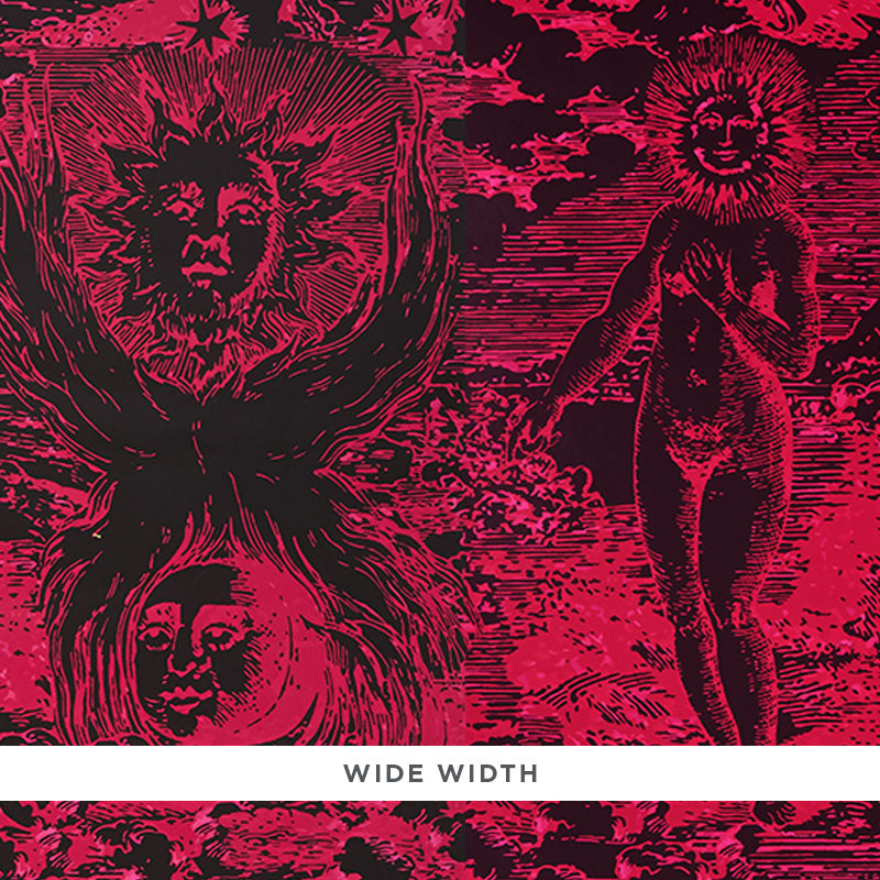 SCHUMACHER  JOHNSON HARTIG MODERN TOILE   PINK , BLACK   - 5010423