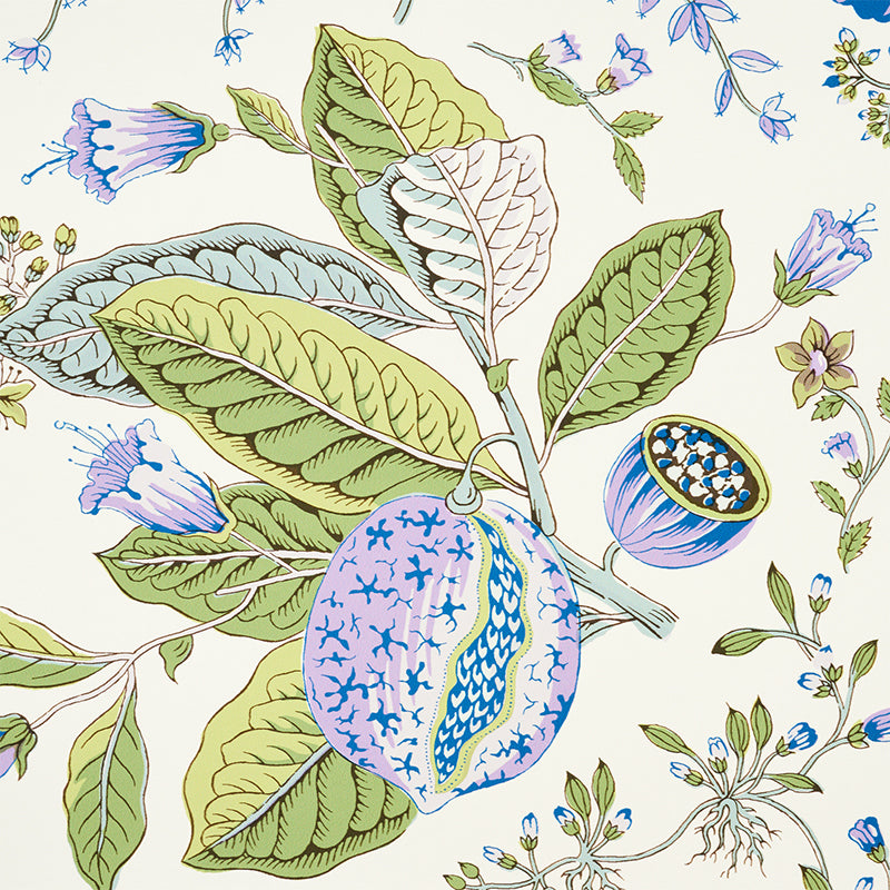 SCHUMACHER  SIGNATURE SCHUMACHER POMEGRANATE BOTANICAL   PURPLE   - 5010440