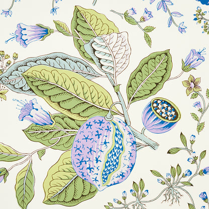 SCHUMACHER  SIGNATURE SCHUMACHER POMEGRANATE BOTANICAL   PURPLE   - 5010440