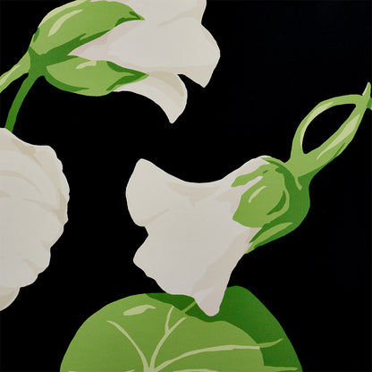 SCHUMACHER  SIGNATURE SCHUMACHER NASTURTIUM   NOIR   - 5010470