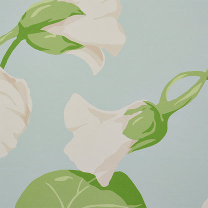 SCHUMACHER  SIGNATURE SCHUMACHER NASTURTIUM   SKY   - 5010471