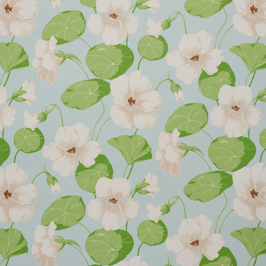 SCHUMACHER  SIGNATURE SCHUMACHER NASTURTIUM   SKY   - 5010471