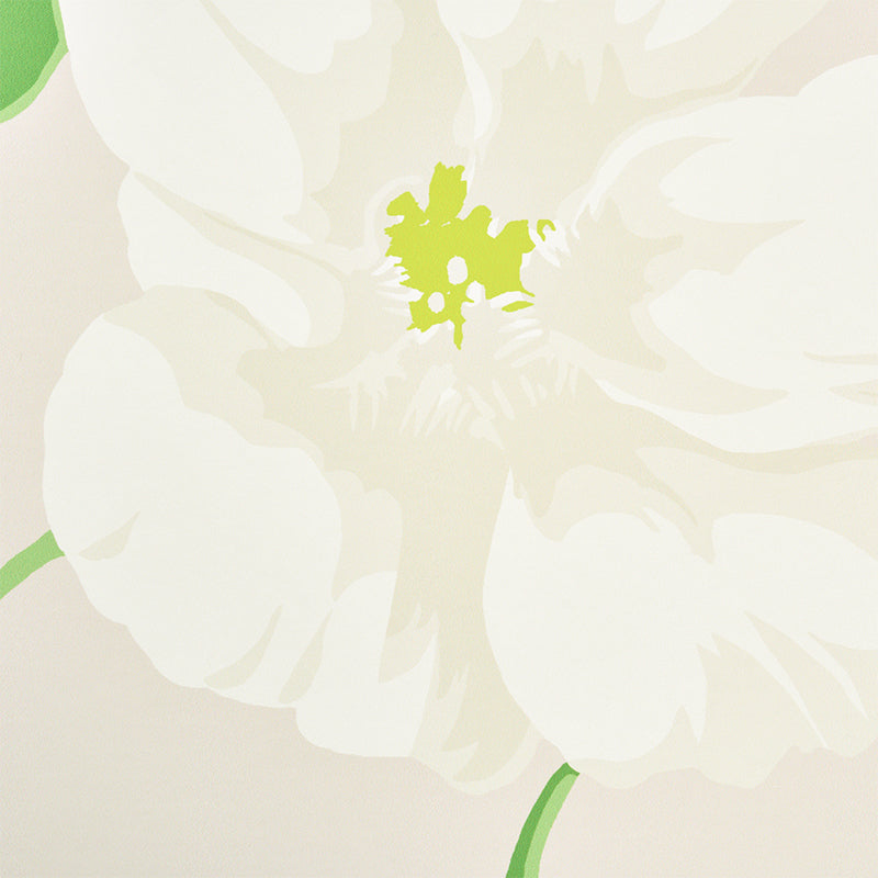 Large pale white flower with lime-green center and green stems on a soft beige background.