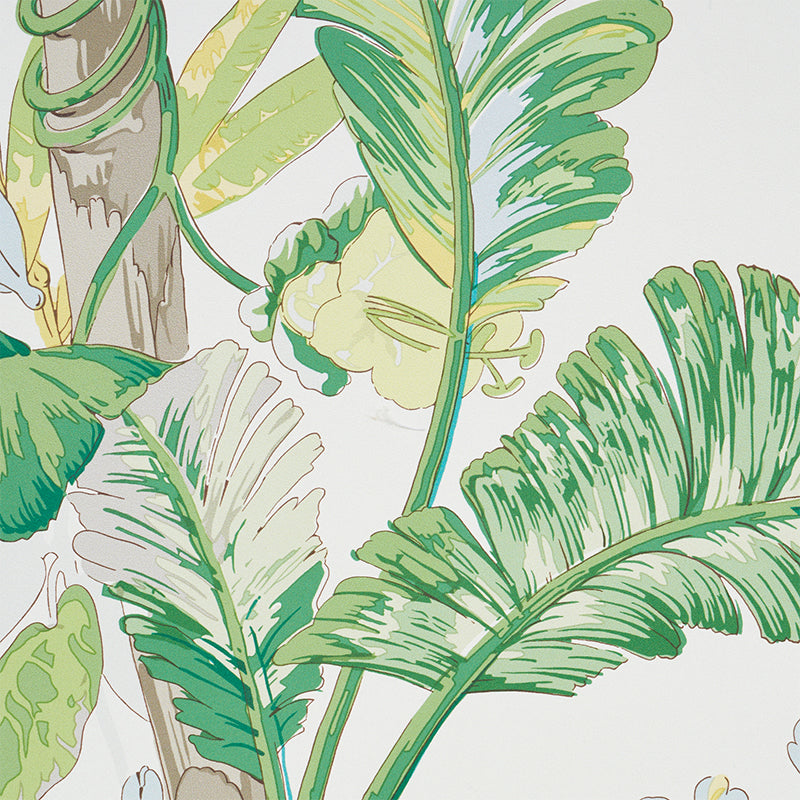 SCHUMACHER WALLCOVERING  SIGNATURE SCHUMACHER WALLCOVERING TROPIQUE   CITRON   - 5010480