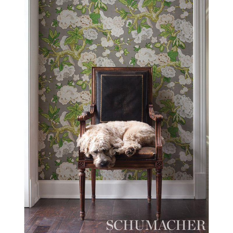 Slate Bermuda Blossoms wallpaper with a floral pattern on a wall.
