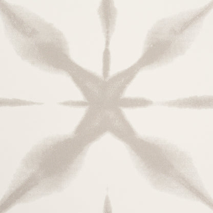 Off-white background with a pale gray, symmetrical X/starburst motif.