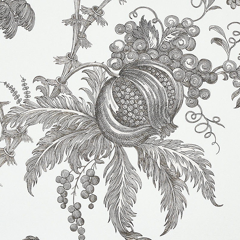 Black-and-white botanical illustration with a pomegranate-like fruit, feathery leaves, grape clusters and curling tendrils.