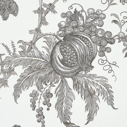 Black-and-white botanical illustration with a pomegranate-like fruit, feathery leaves, grape clusters and curling tendrils.