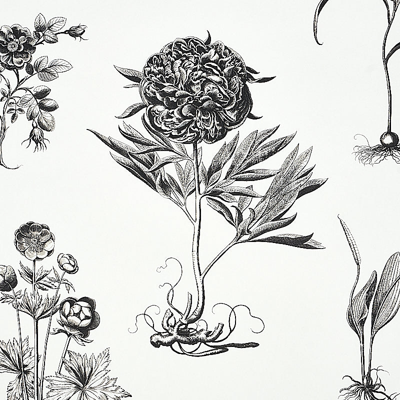 SCHUMACHER  SIGNATURE SCHUMACHER CABOT BOTANICAL LARGE   IVORY   - 5010640