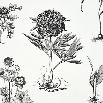 SCHUMACHER  SIGNATURE SCHUMACHER CABOT BOTANICAL LARGE   IVORY   - 5010640