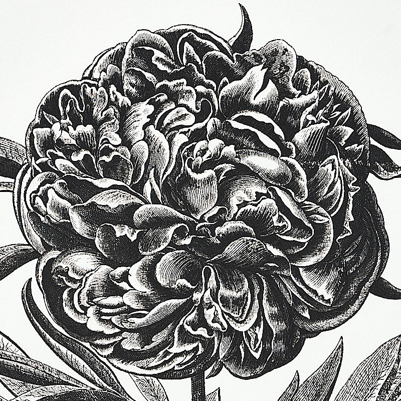 SCHUMACHER  SIGNATURE SCHUMACHER CABOT BOTANICAL LARGE   IVORY   - 5010640