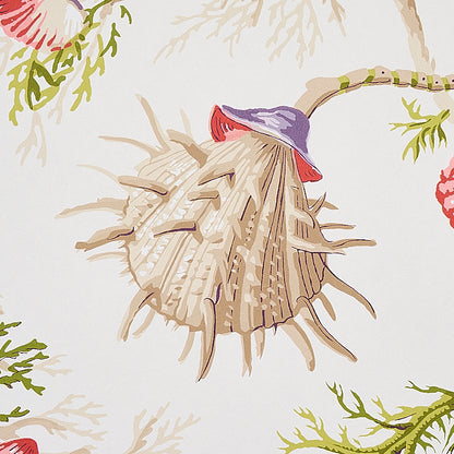 SCHUMACHER  SIGNATURE SCHUMACHER DEL TESORO   PURPLE , CORAL   - 5010652