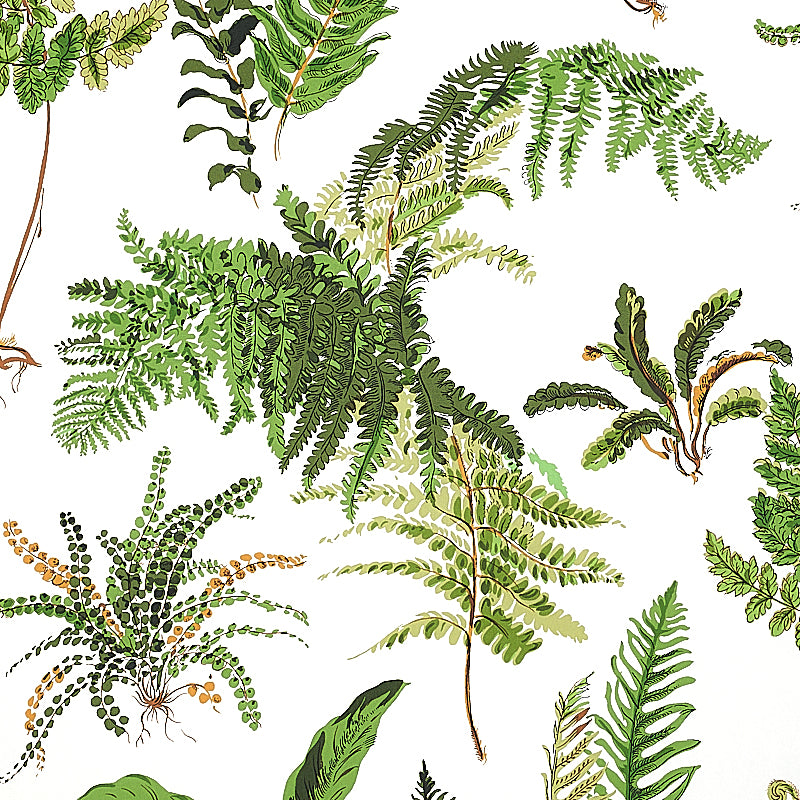 Watercolor fern print with varied green fronds and brown stems; botanical pattern for fabric or wallpaper.