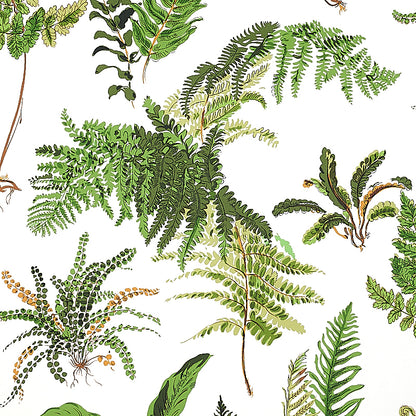 Watercolor fern print with varied green fronds and brown stems; botanical pattern for fabric or wallpaper.