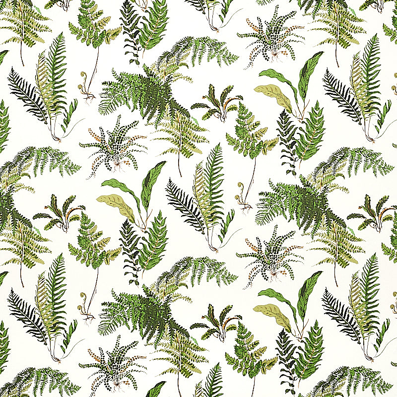 Green fern botanical pattern with varied fronds on a light background; decorative fabric print.