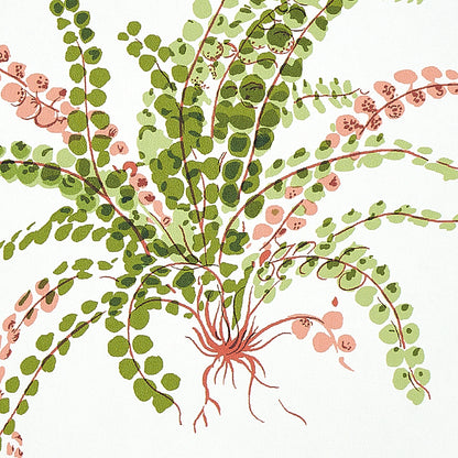 Watercolor botanical print of a trailing plant with red stems and round green and pink leaflets on white, wall art.