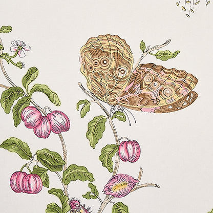 SCHUMACHER WALLCOVERING  SIGNATURE SCHUMACHER WALLCOVERING BAUDIN BUTTERFLY   BLUSH   - 5010690