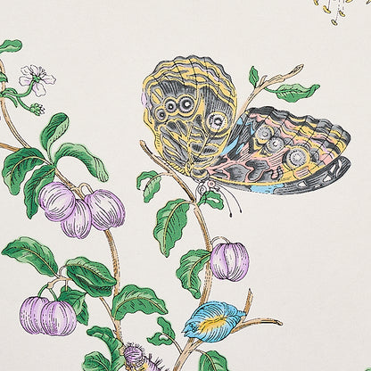 SCHUMACHER  SIGNATURE SCHUMACHER BAUDIN BUTTERFLY   TURQUOISE   - 5010691