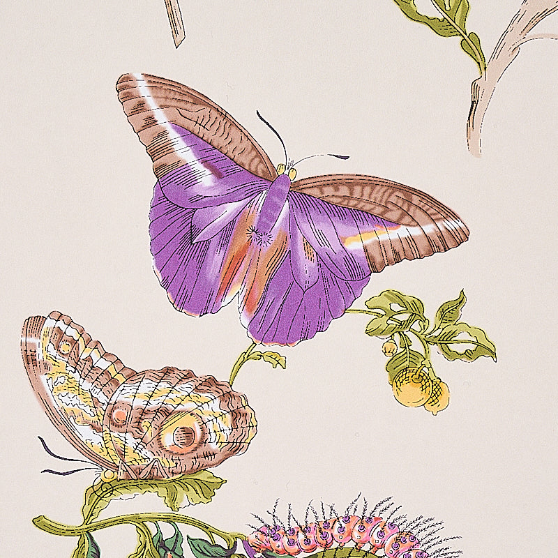 Vintage botanical illustration of a purple butterfly with brown-edged wings, a moth, and green stems with yellow berries.