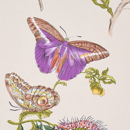 Vintage botanical illustration of a purple butterfly with brown-edged wings, a moth, and green stems with yellow berries.
