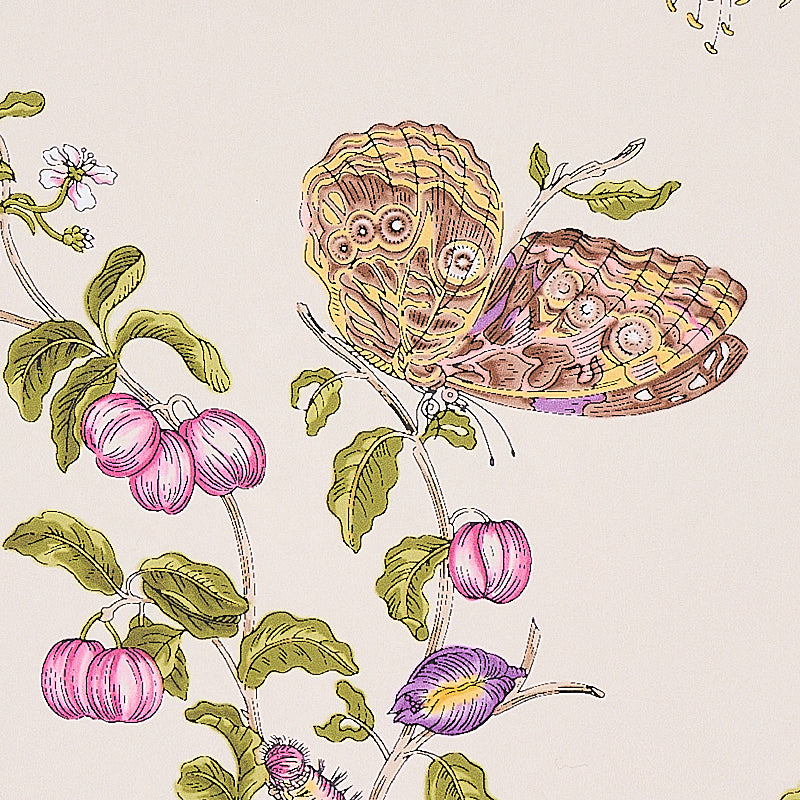 Vintage botanical illustration on cream: green vine with pink fruits and two beige-purple butterflies.
