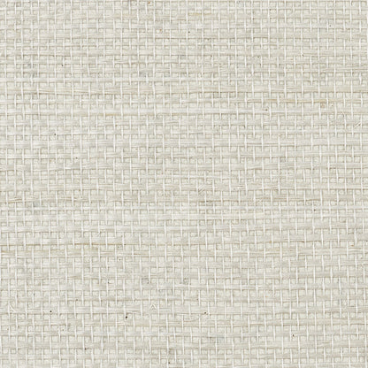 SCHUMACHER WALLCOVERING  PERFECT BASICS: HARUKI SISAL HARUKI SISAL   DOVE   - 5010852