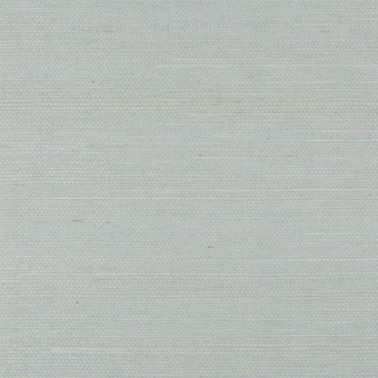 SCHUMACHER WALLCOVERING  PERFECT BASICS: HARUKI SISAL HARUKI SISAL   MINERAL   - 5010857
