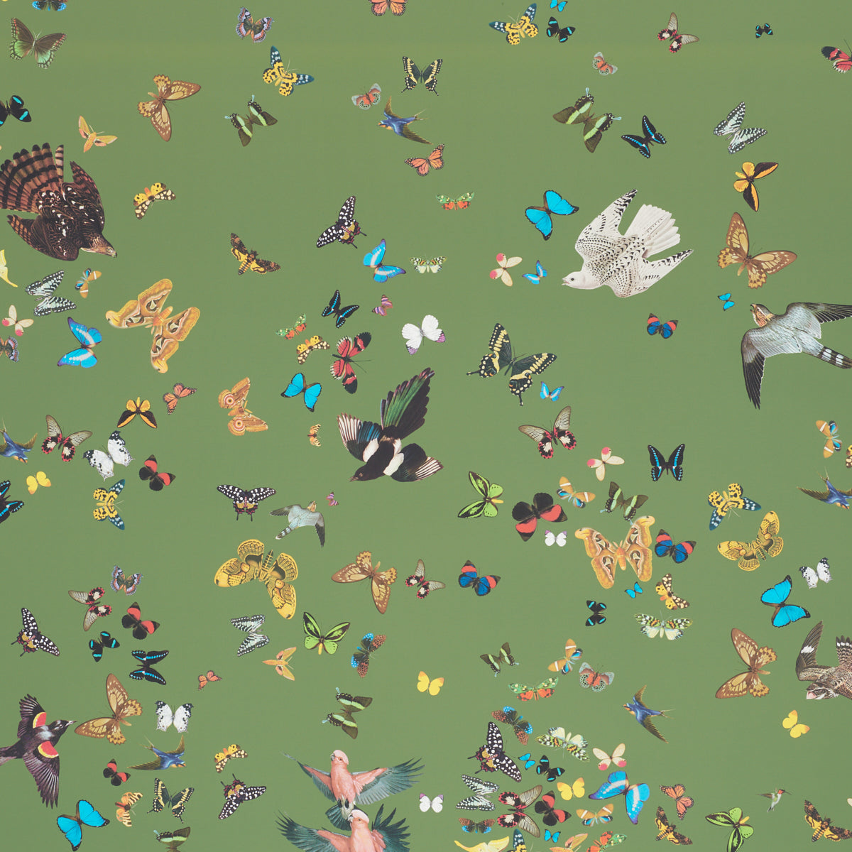 SCHUMACHER  ANNE LEMANSKI FOR PEG NORRISS QUEEN'S FLIGHT PANEL SET   GREEN   - 5010860