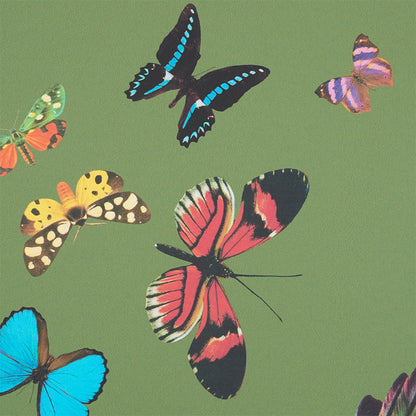 SCHUMACHER  ANNE LEMANSKI FOR PEG NORRISS QUEEN'S FLIGHT PANEL SET   GREEN   - 5010860