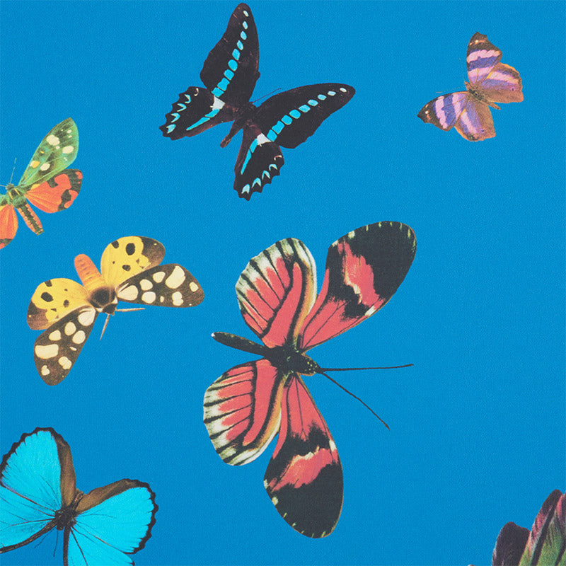 Assorted colorful butterflies flying on a vivid blue background, with a pink-red central butterfly outlined in black.