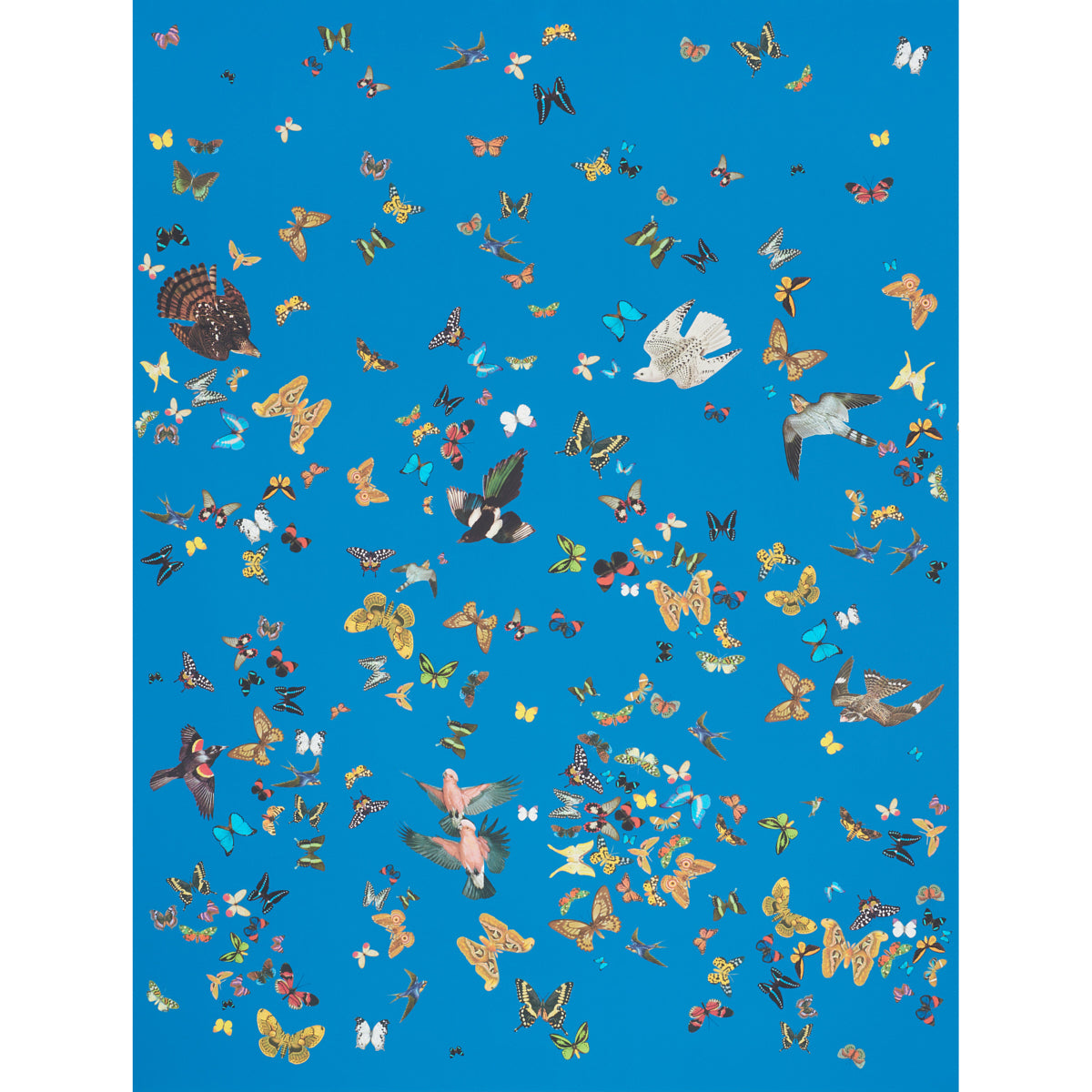 Blue backdrop covered with scattered multicolor butterfly cutouts for crafts and decor.