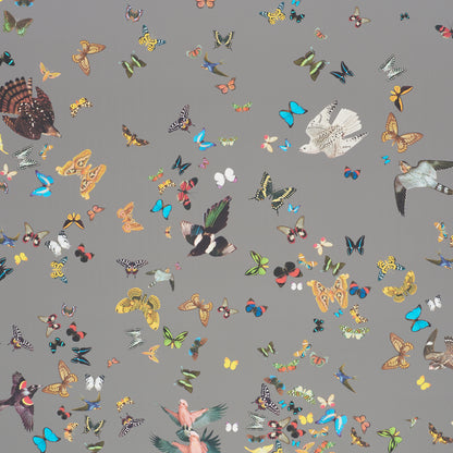 SCHUMACHER  ANNE LEMANSKI FOR PEG NORRISS QUEEN'S FLIGHT PANEL SET   GREY   - 5010862