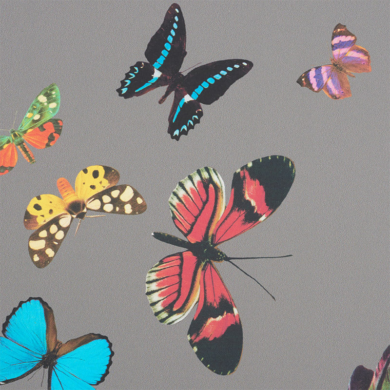 SCHUMACHER  ANNE LEMANSKI FOR PEG NORRISS QUEEN'S FLIGHT PANEL SET   GREY   - 5010862