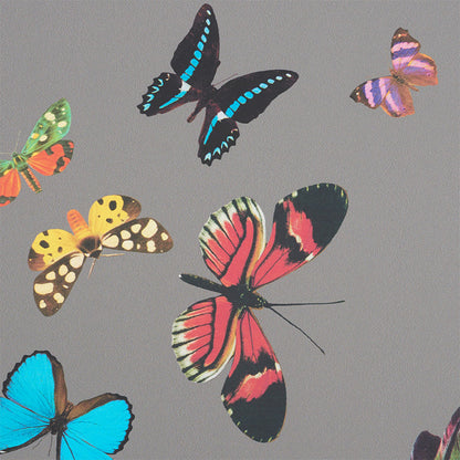 SCHUMACHER  ANNE LEMANSKI FOR PEG NORRISS QUEEN'S FLIGHT PANEL SET   GREY   - 5010862