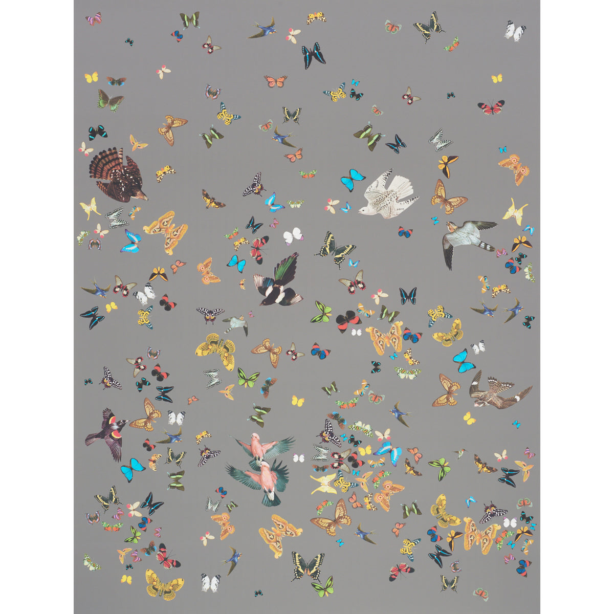 SCHUMACHER  ANNE LEMANSKI FOR PEG NORRISS QUEEN'S FLIGHT PANEL SET   GREY   - 5010862