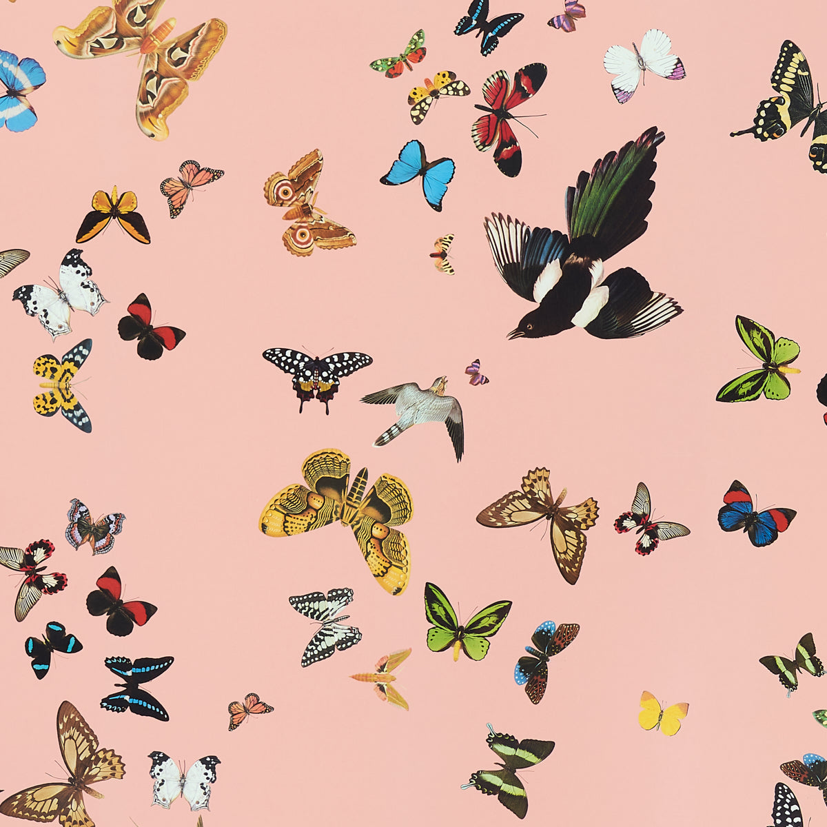 SCHUMACHER  ANNE LEMANSKI FOR PEG NORRISS QUEEN'S FLIGHT PANEL SET   PINK   - 5010864