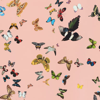 SCHUMACHER  ANNE LEMANSKI FOR PEG NORRISS QUEEN'S FLIGHT PANEL SET   PINK   - 5010864