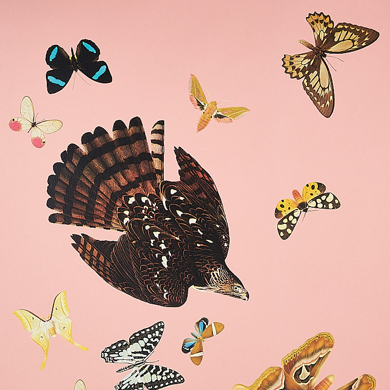 SCHUMACHER  ANNE LEMANSKI FOR PEG NORRISS QUEEN'S FLIGHT PANEL SET   PINK   - 5010864