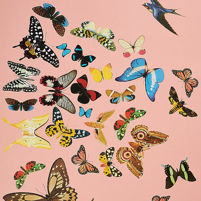 SCHUMACHER  ANNE LEMANSKI FOR PEG NORRISS QUEEN'S FLIGHT PANEL SET   PINK   - 5010864