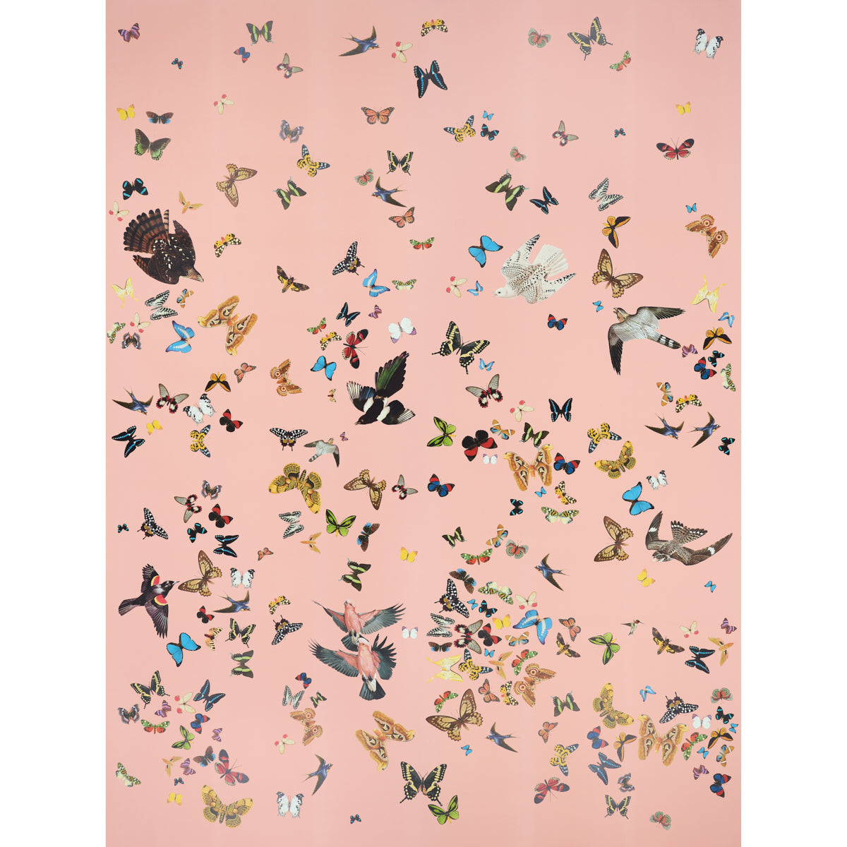 SCHUMACHER  ANNE LEMANSKI FOR PEG NORRISS QUEEN'S FLIGHT PANEL SET   PINK   - 5010864