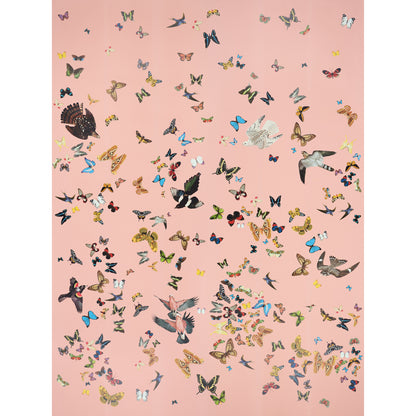 SCHUMACHER  ANNE LEMANSKI FOR PEG NORRISS QUEEN'S FLIGHT PANEL SET   PINK   - 5010864